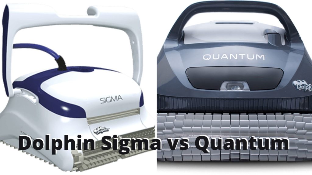 Dolphin Sigma vs Quantum